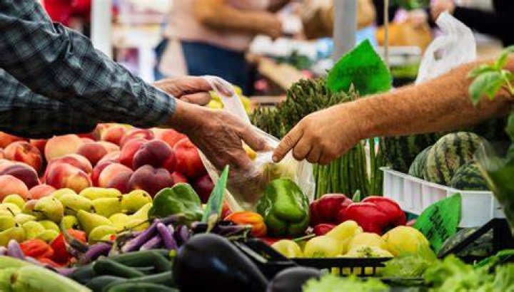 🏠 Las mejores opciones para comprar trailas nuevas y usadas en USA
