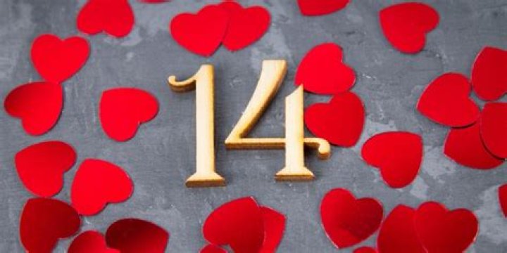 14 Facts About The FV Family
