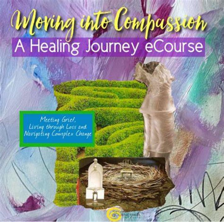 A Journey Into Compassion And Harmony