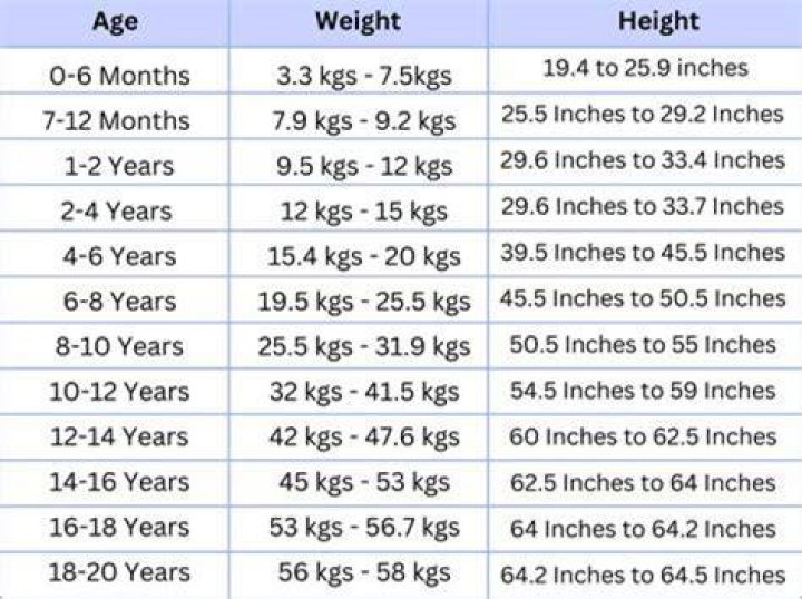 A Journey Of Height, Weight, Age, Family, And Inspiring Facts