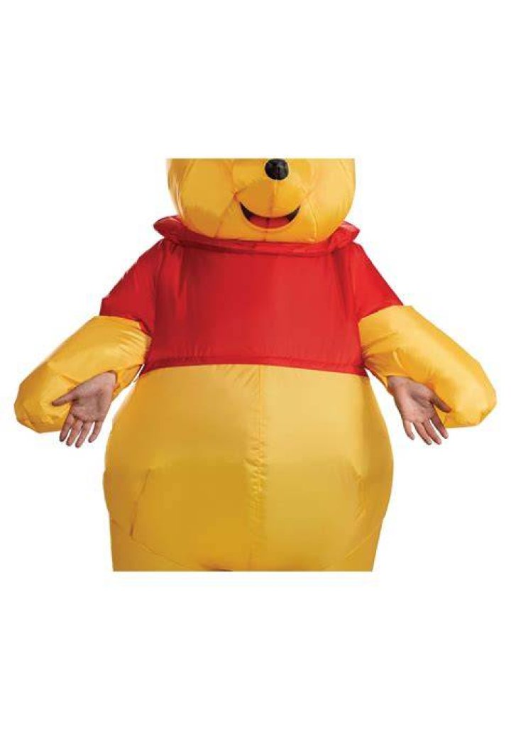 Adult Winnie the Pooh Inflatable Costume