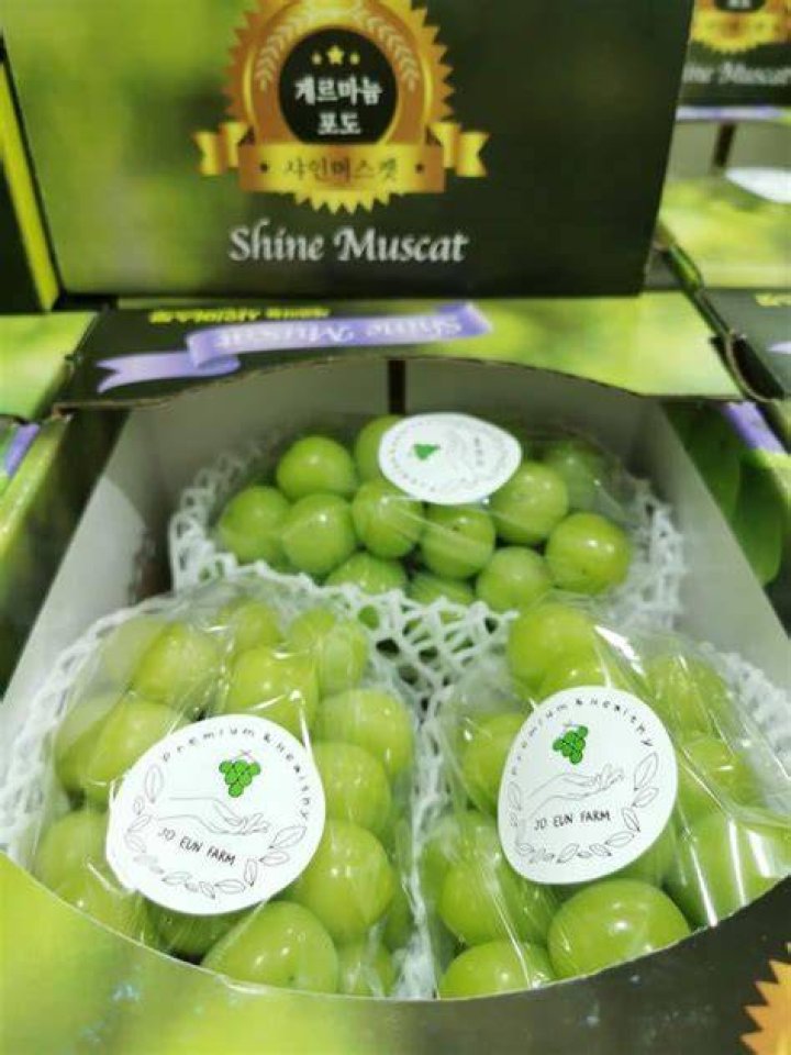Airflown Korean Shine Muscat Grapes &mdash; MomoBud