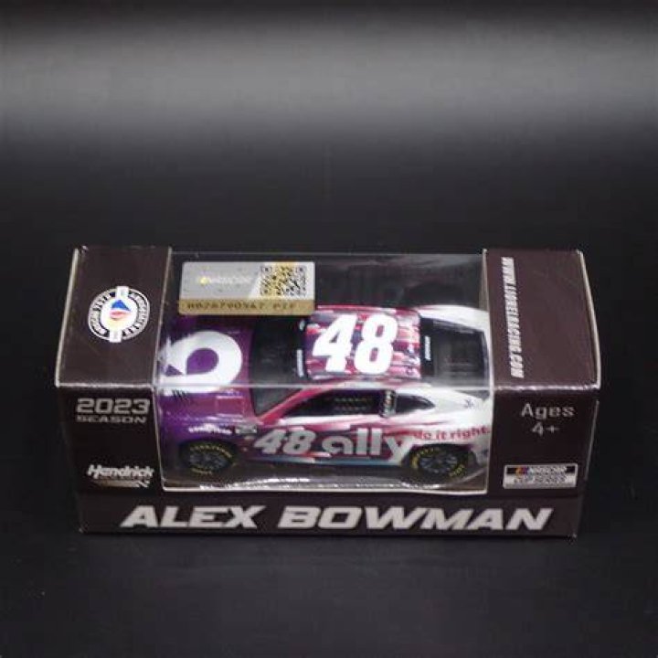 Alex Bowman&rsquo;s 2023 Ally Primary Paint Schemes Revealed NASCAR Amino