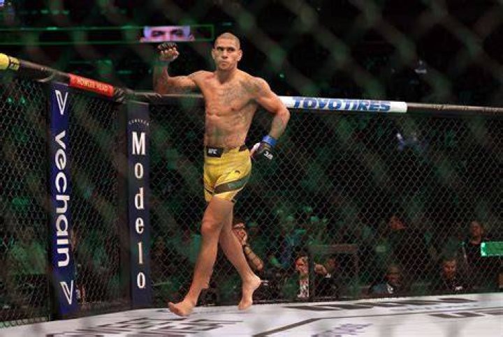 Alex Pereira Stats, News, Bio & More