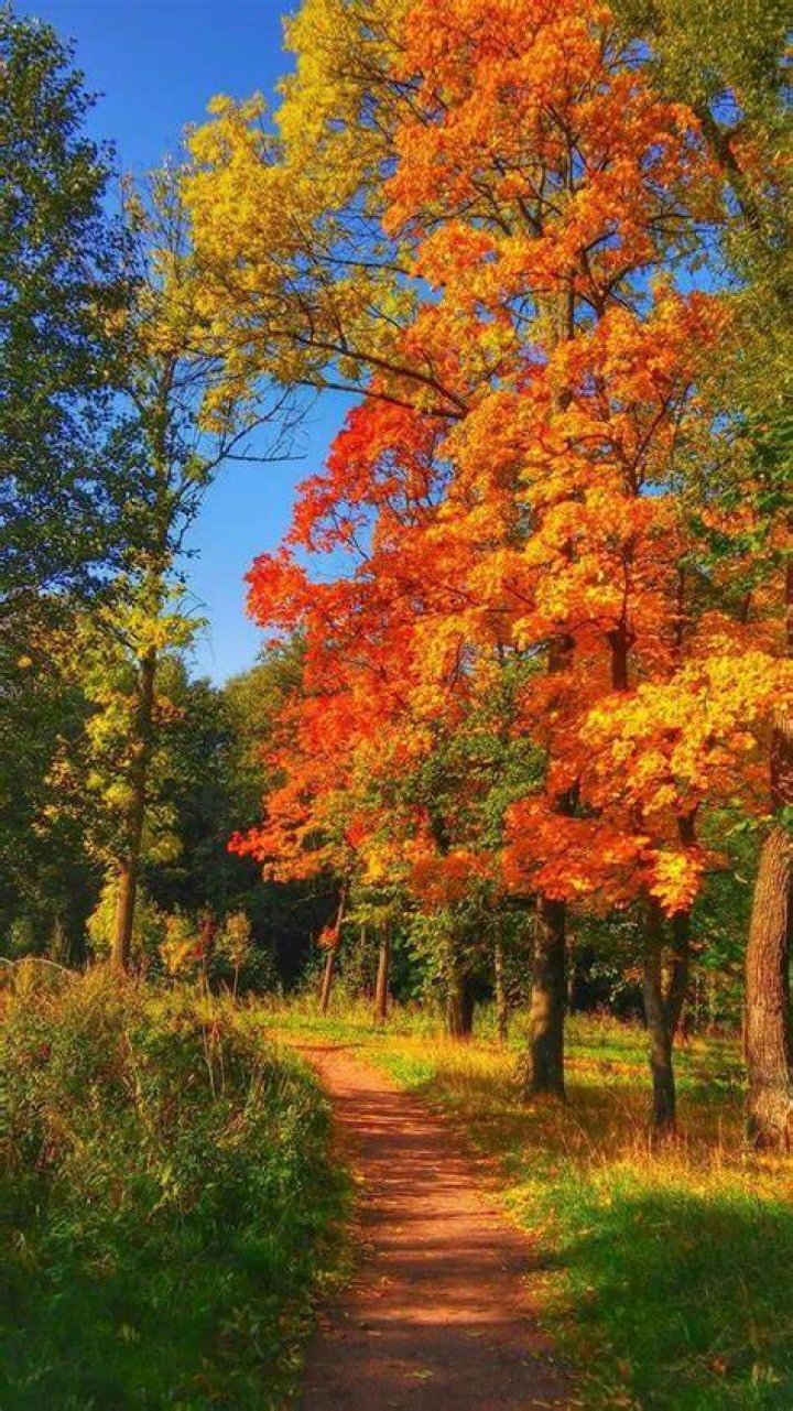 autumn 🏳️&zwj;⚧️ on Twitter "had a dream last night that the uni account