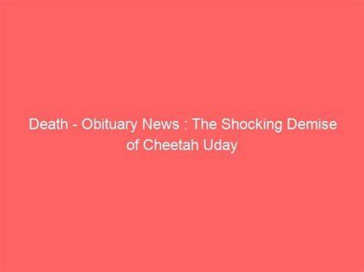 Cindy Death Obituary News Shocking Who is Cindy What