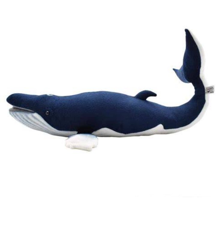 confortable baleine bleue éperon large family table Affirmer jeter de