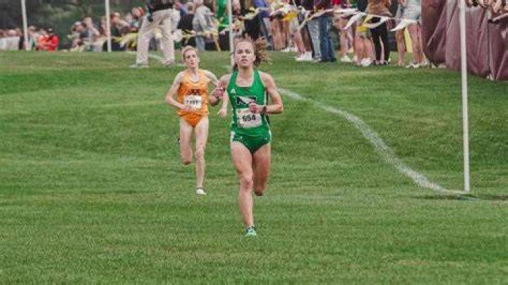 Cross Country in 2020 Funny horse memes, Horse jokes, Funny horses