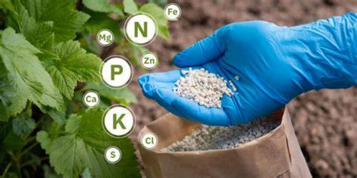 Does Fertilizer Cause Metal to Rust? thegrowingleaf