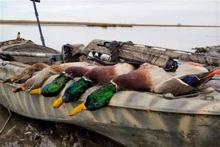 Duck Hunter Dies After Kayak Capsizes Outdoor News