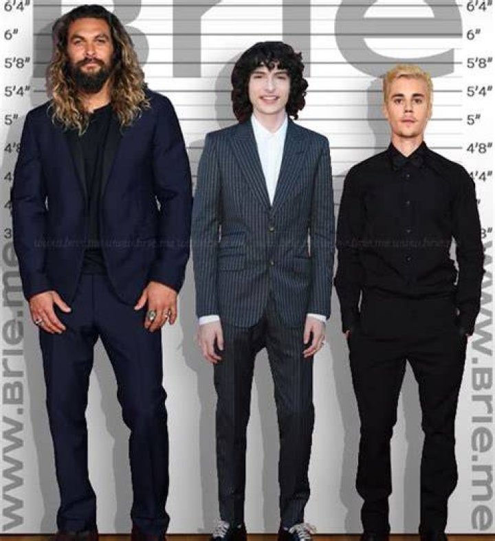 Finn Wolfhard Height How Tall Is The Stranger Things Star?
