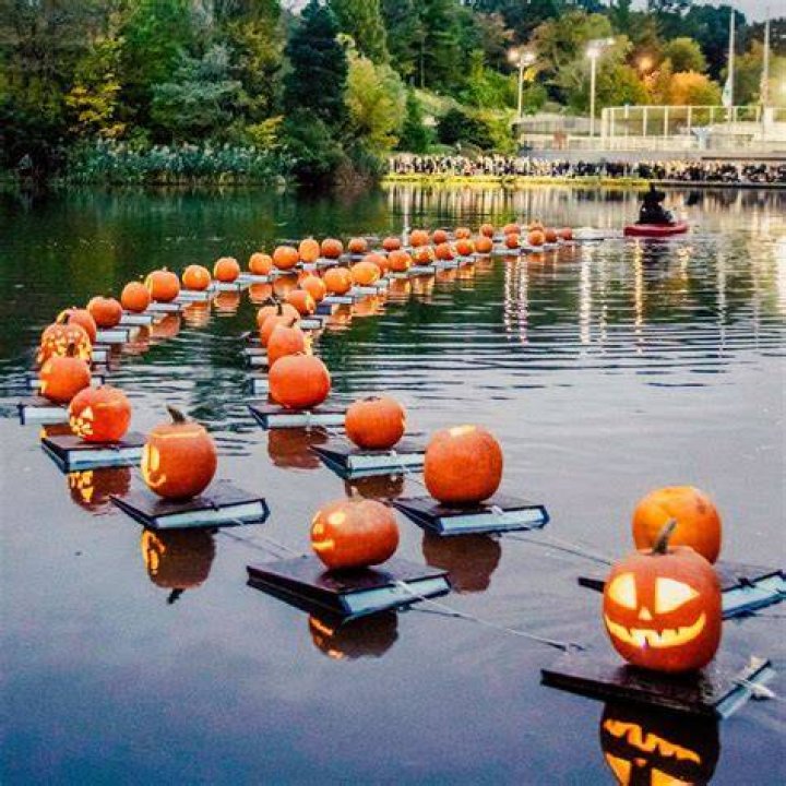Floating pumpkins Sunset Magazine