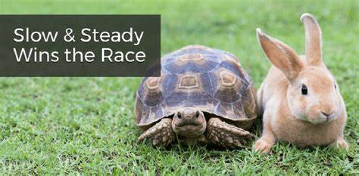For Humans, Slow And Steady Running Won The Race NPR