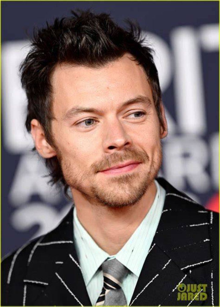 Harry Styles Steps Out for Lunch at Rande Gerber's Cafe Habana Photo