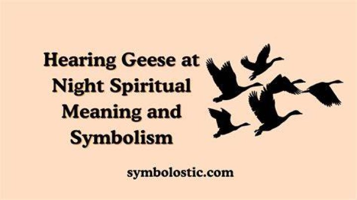 Hearing Geese at Night Spiritual Meaning