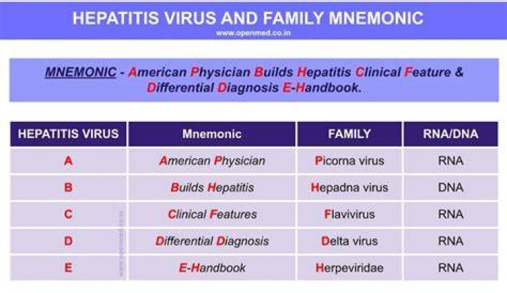 HEPATITIS VIRUS AND FAMILY MNEMONIC