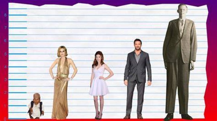 How Tall Is Keira Knightley? Height Comparison! YouTube