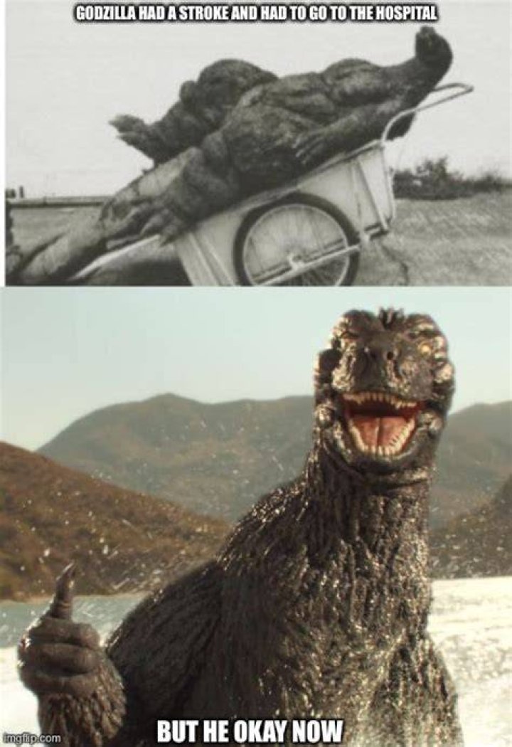Image tagged in godzilla had a stroke trying to read this and fricking