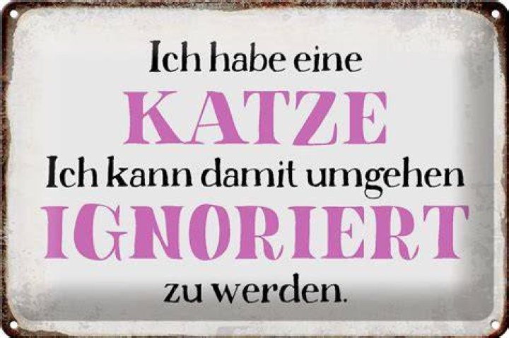 Kann ignoriert werden legal Wischen Sie sweatshirt size chart Eint&ouml;nig