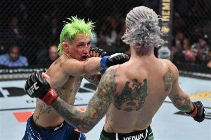 Kris Moutinho returns after Sean O&rsquo;Malley battle, faces Aaron Phillips