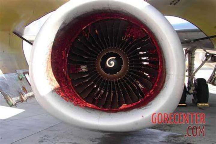 Mechanic sucked into a jet engine Herman The Shocker