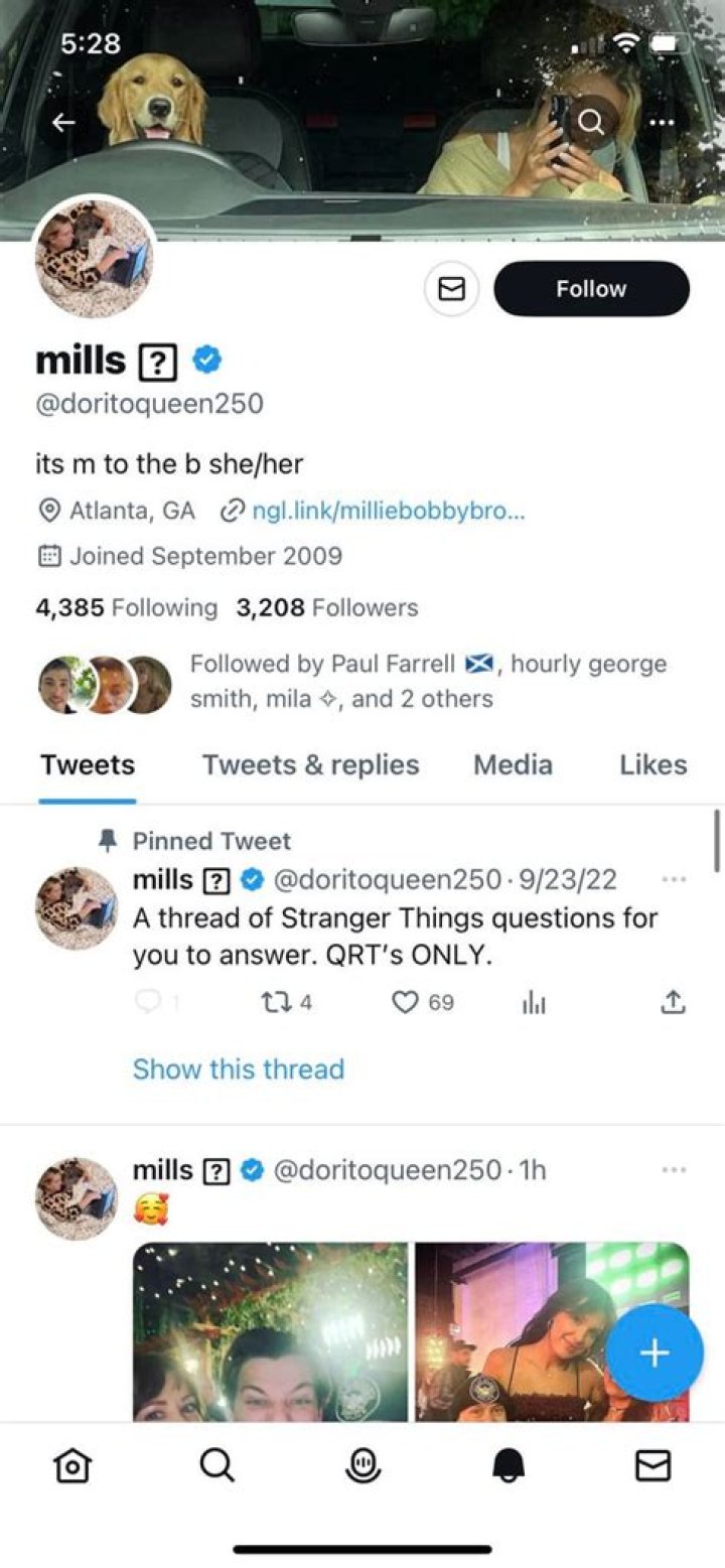Millie on Twitter "My fluffy son https// / Twitter