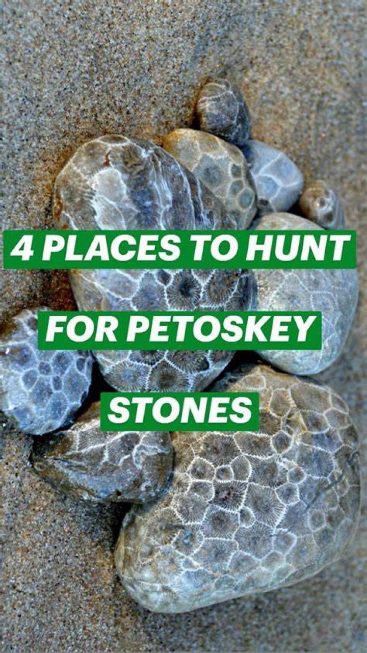 Petoskey Stone Hunting 10 Beaches Where You Can Find Michigan's State