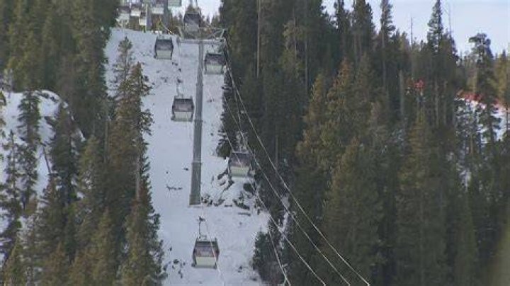 pharmacist Isolate collision snowboarder death leadership exposition