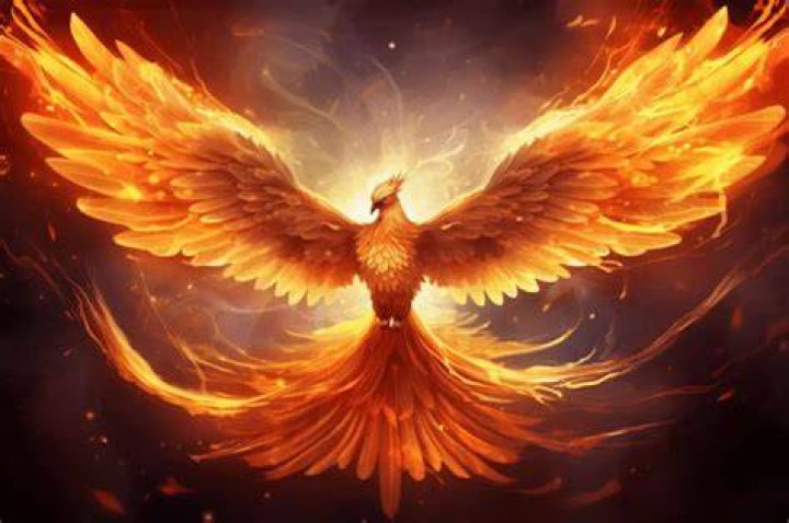 Phoenix MyCujoo