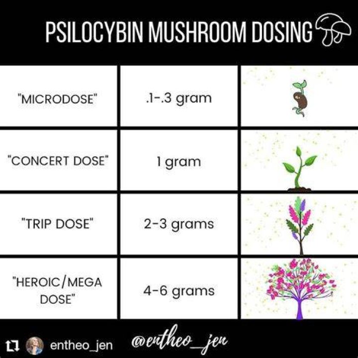 Shroom Dosage Chart