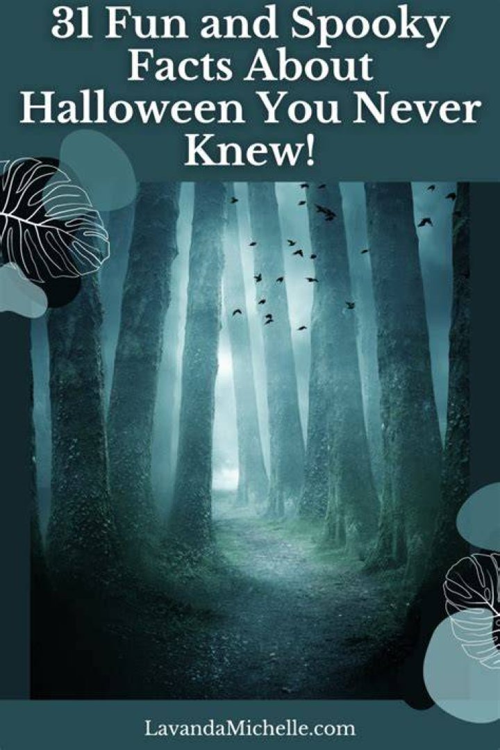 Spinning Spooky Facts Into Fiction Lunch Ticket