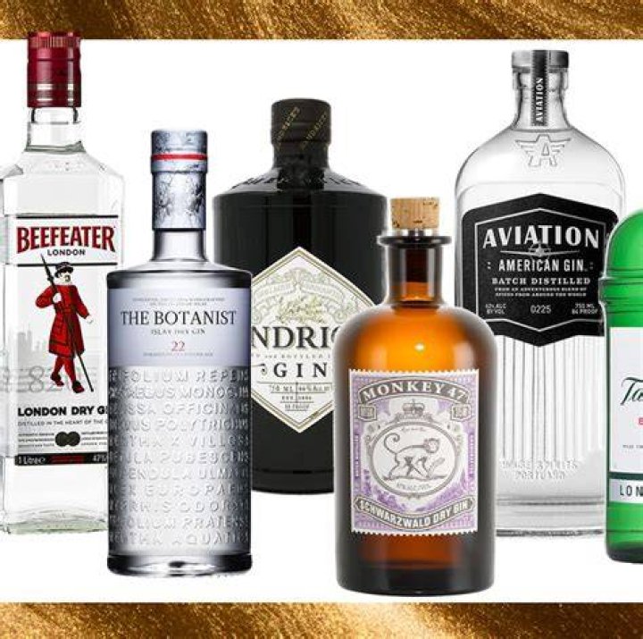 The Best Bottles Of Gin You Can Buy, Whether You're Unfamiliar With The