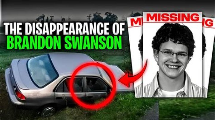 The Mysterious Disappearance of Brandon Swanson by Megan Ashley