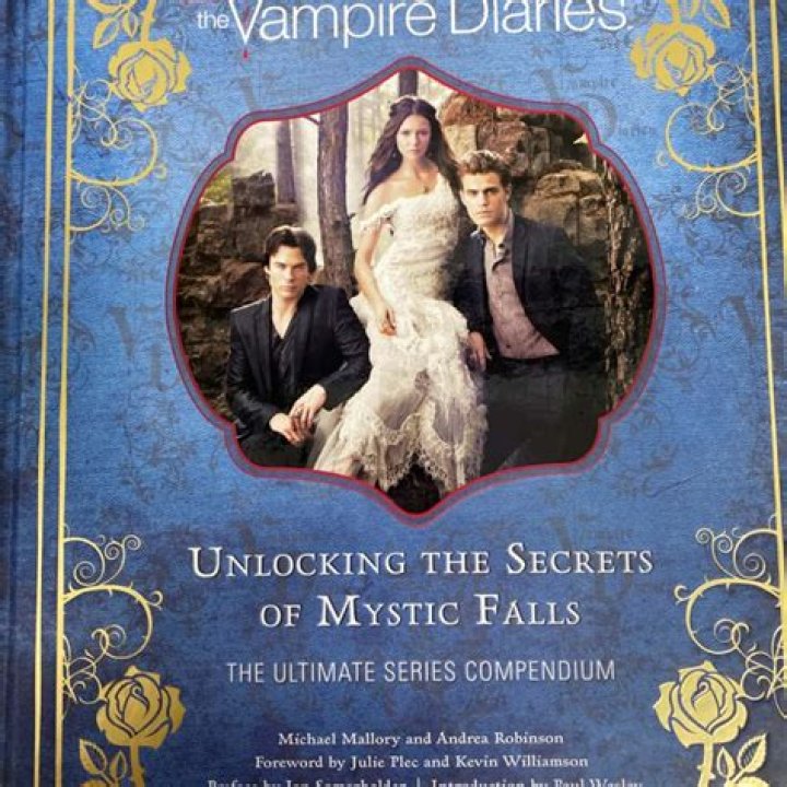 The Vampire Diaries Unlocking the Secrets of Mystic Falls Michael