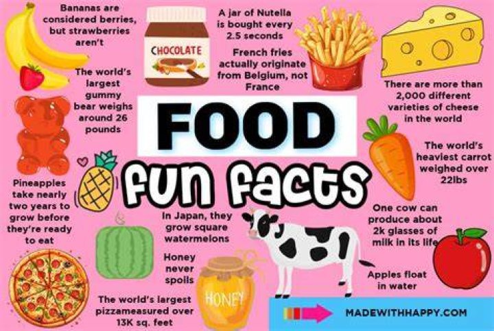 Top 13 Dietitian Fun Facts Surprising Insights into Nutrition Experts