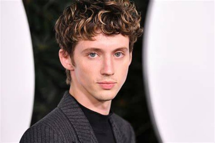Troye Sivan Who is His Boyfriend? Net Worth, Age, Height, Songs, Bio
