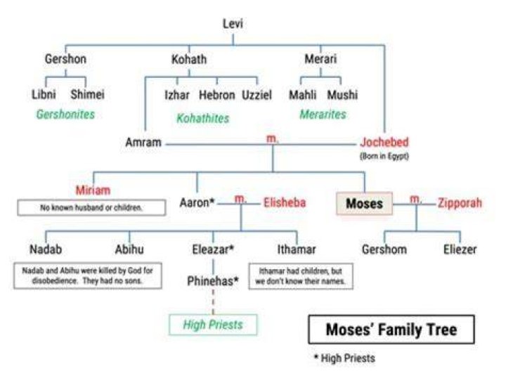 Unveiling The Extraordinary World Of Moses Bliss: Discoveries And Insights