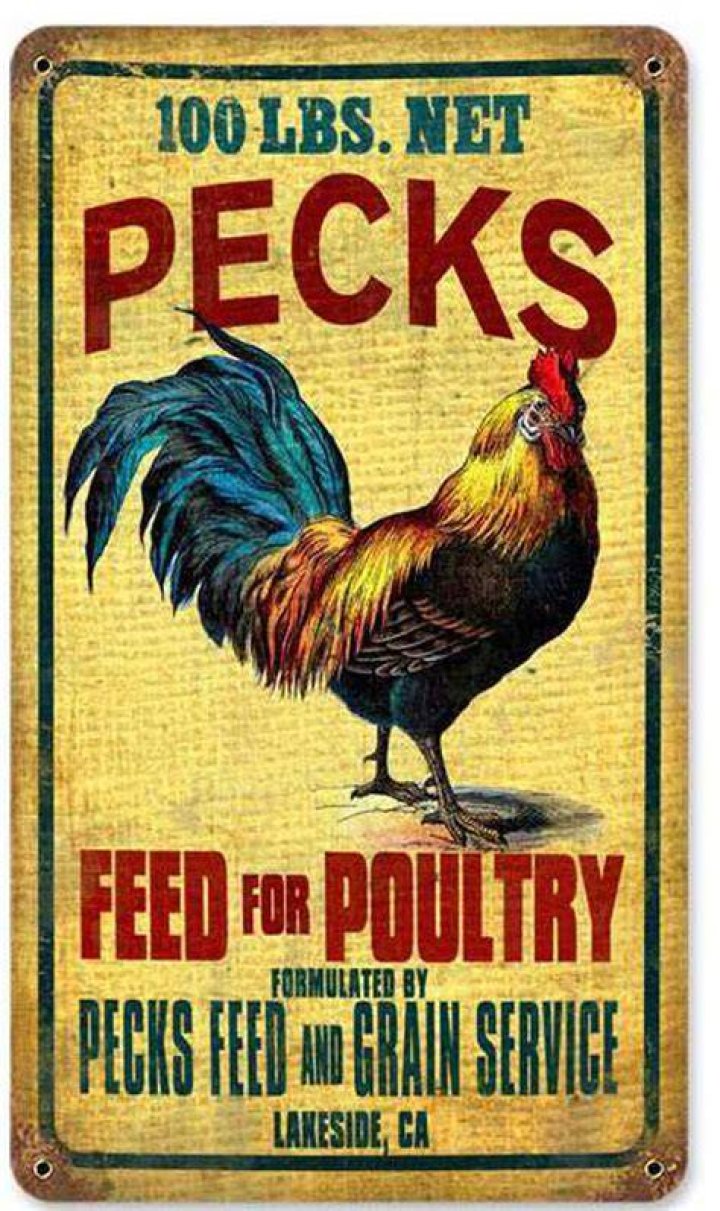 Vintage Rooster Feed Metal Sign 8 x 14 Inches