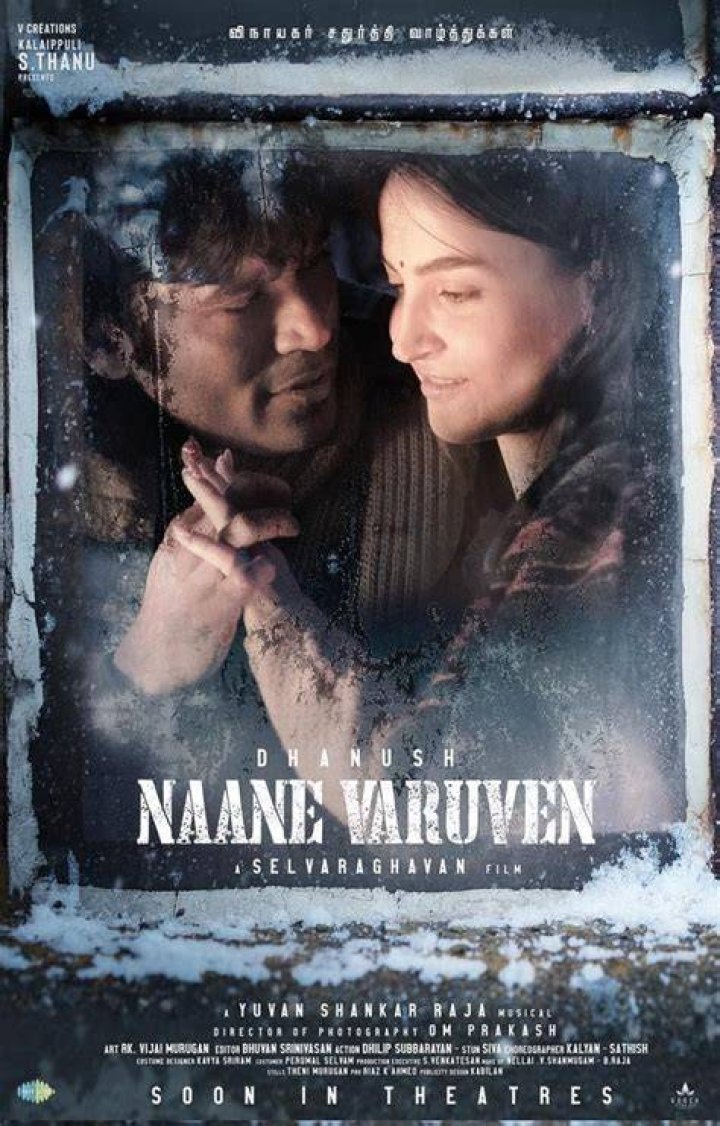 Watch Naane Varuven Season 1 Episode 163 Bharani Wants To Divorce
