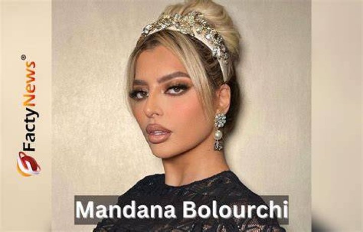 What is Mandana Bolourchi's Net Worth?
