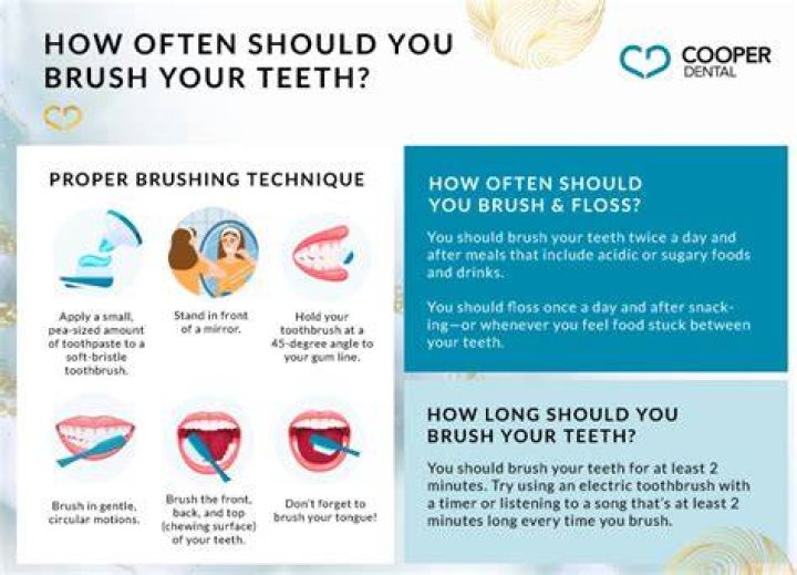 When Should You Brush Your Teeth Great Offers, Save 57 jlcatj.gob.mx