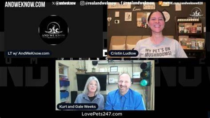 Who Are Kurt and Gail Villani? [Owner of Gui's Lumber]