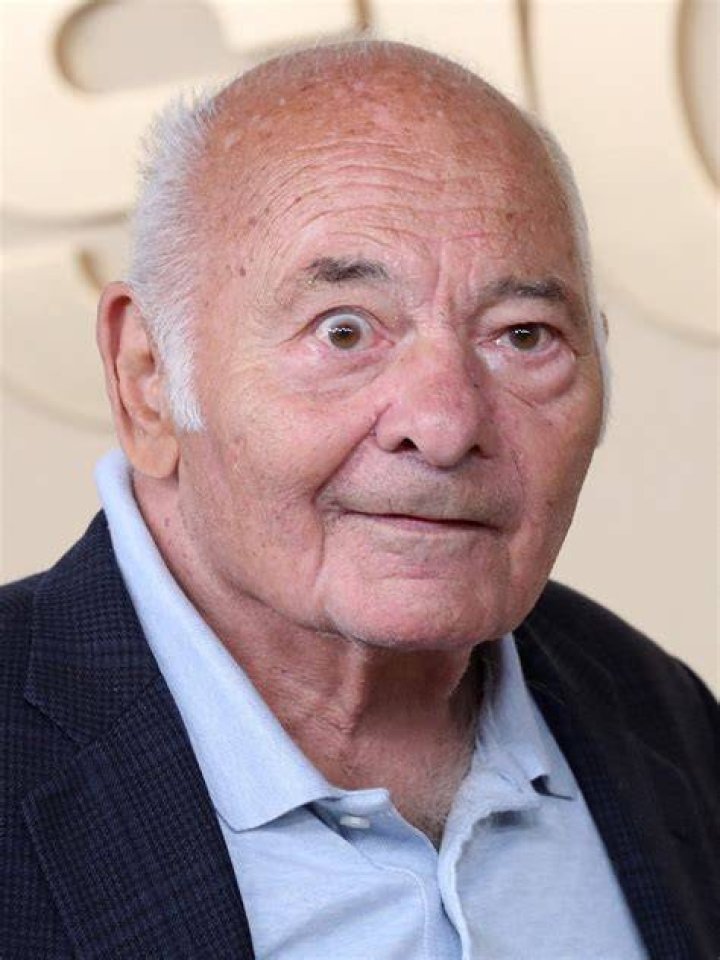 Who was Burt Young's Wife? The Untold Chapter of His Life! Domain Trip