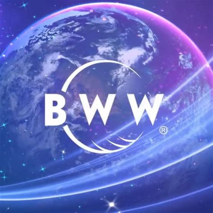 WORLD INTERFACE BRITT WORLD WIDE(BWW)
